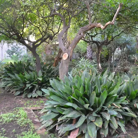 بيت للعطل Il Giardino Di Caronda